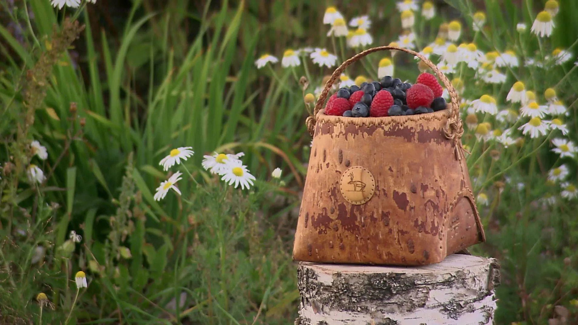 thumbnail - M21:Ep3 Angle Grinders, Berry Baskets, and Omnidirectional Speakers