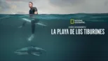 thumbnail - Chris Hemsworth: La playa de los tiburones