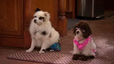 thumbnail - S3:E20 Murder of the Ornamental Dress