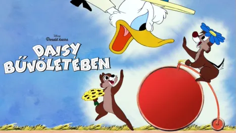 thumbnail - Daisy bűvöletében