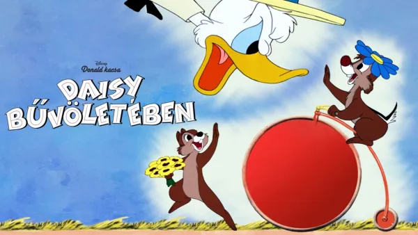 thumbnail - Daisy bűvöletében