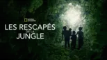 thumbnail - Lost in the Jungle