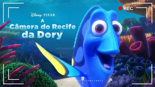 thumbnail - A Câmera do Recife da Dory