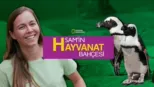 thumbnail - Sam'in Hayvanat Bahçesi