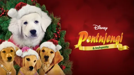 thumbnail - Pentujengi & Joulupentu