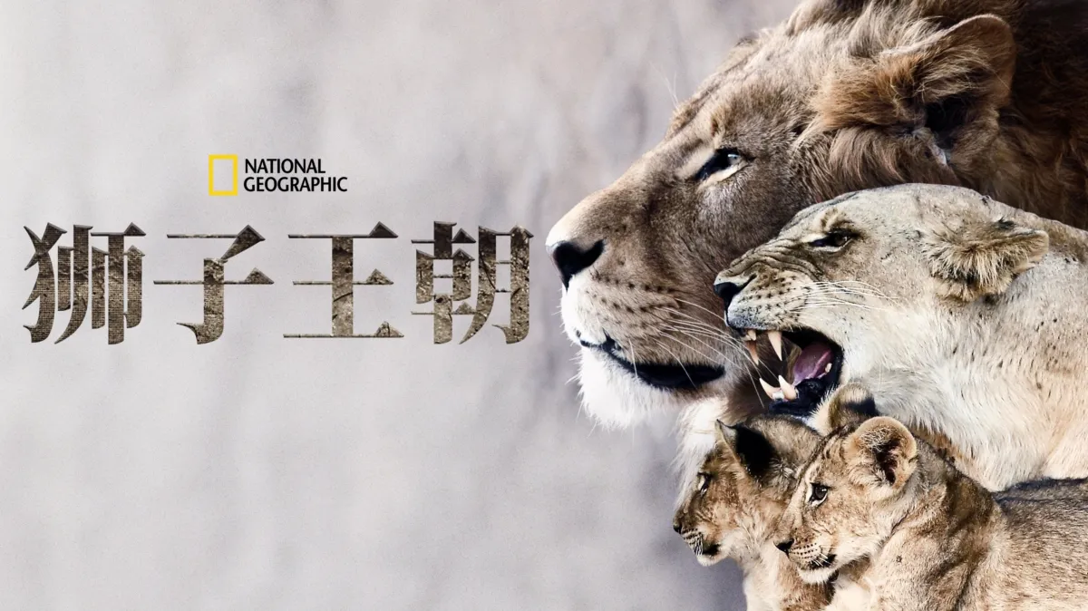 观看狮子王朝| Disney+, image size:1200x674