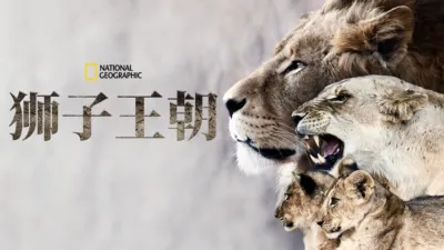 狮子王朝
