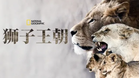 thumbnail - 狮子王朝