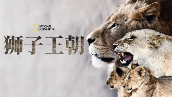 thumbnail - 狮子王朝