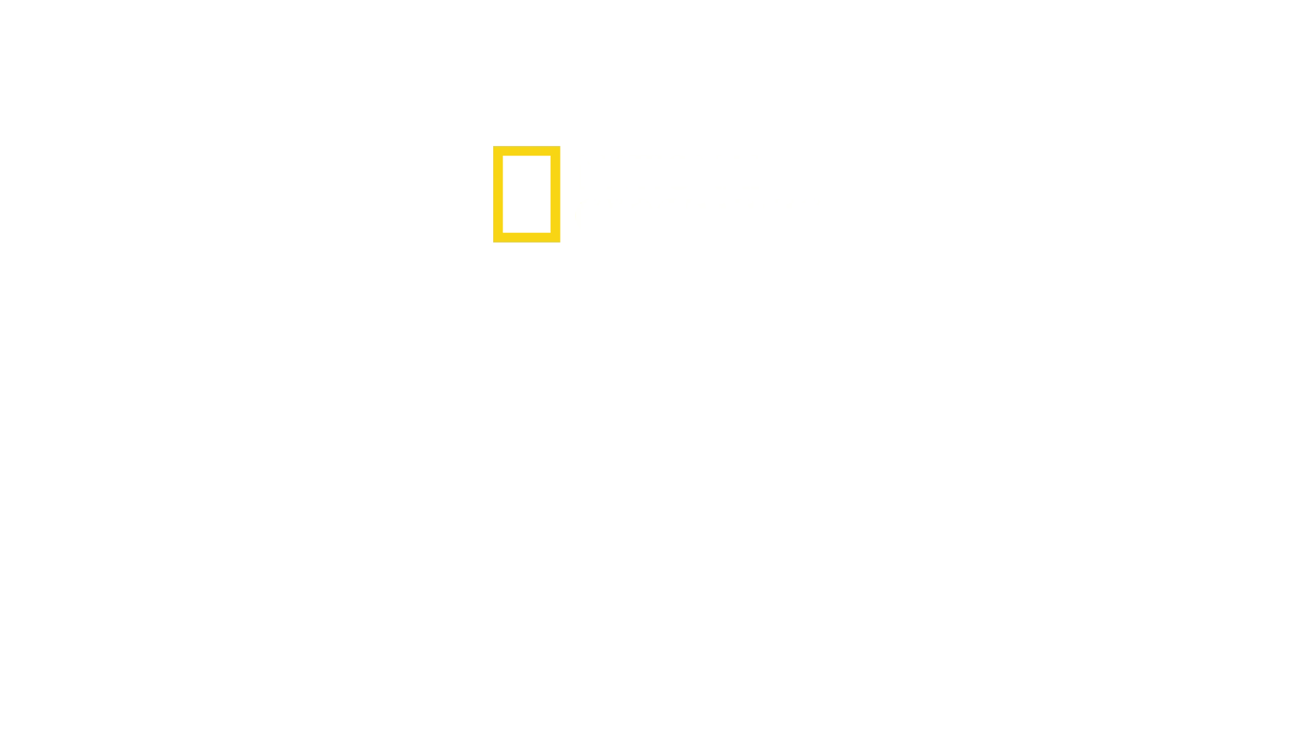 Kulinarische Familiengeschichten mit Antoni Porowski
