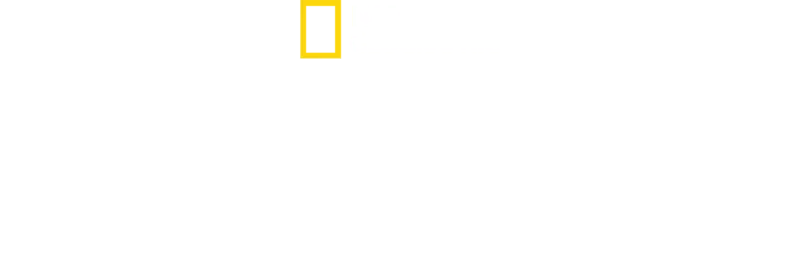 Kulinarische Familiengeschichten mit Antoni Porowski