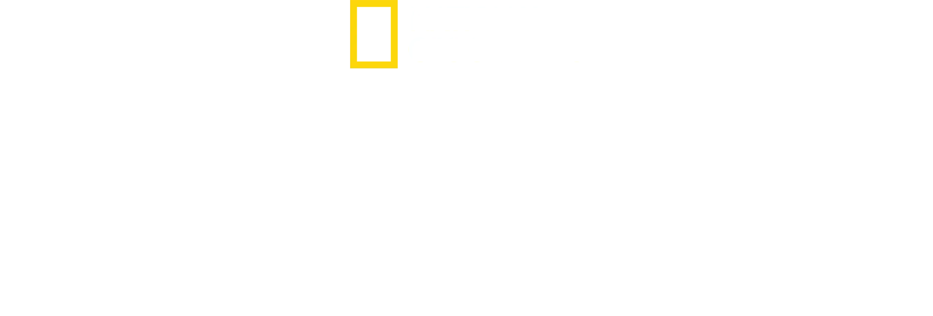 Kulinarische Familiengeschichten mit Antoni Porowski