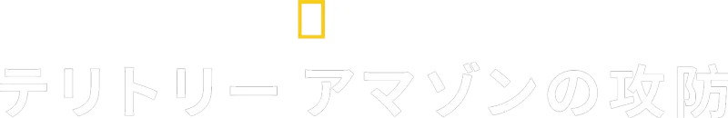 テリトリー アマゾンの攻防