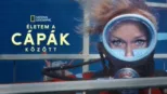 thumbnail - Életem a cápák között