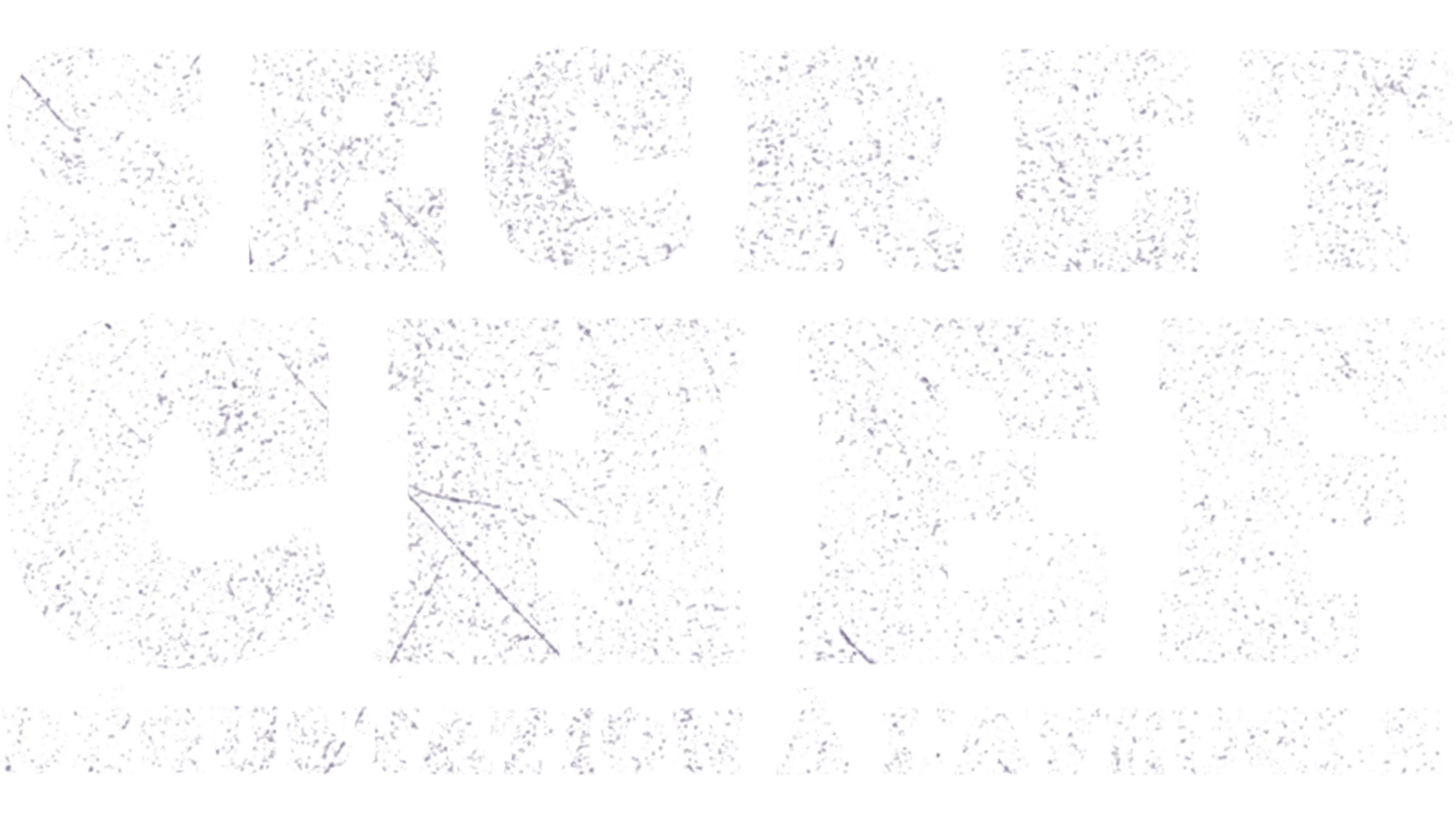 Secret Chef : dégustation à l'aveugle