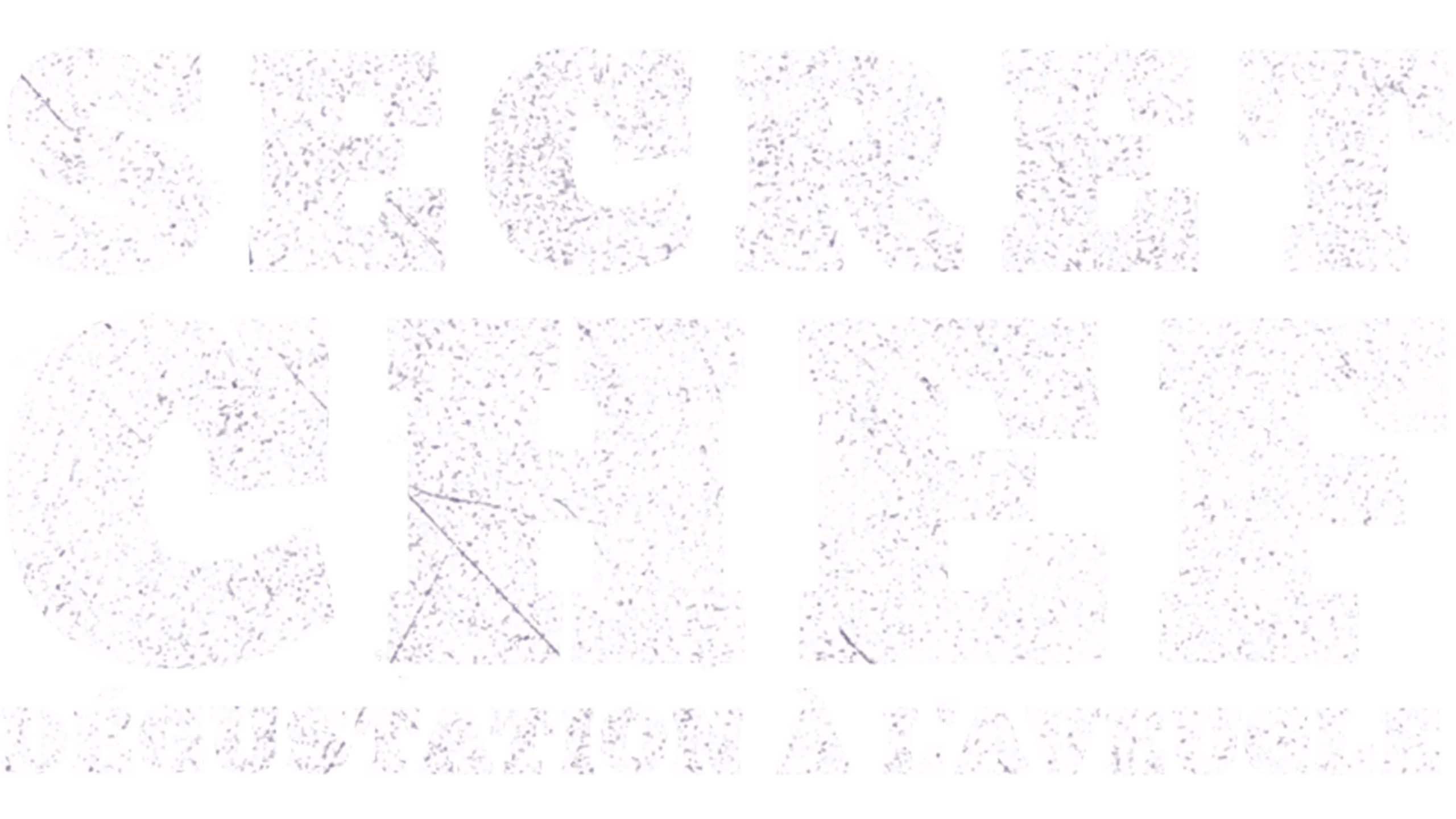 Secret Chef : dégustation à l'aveugle