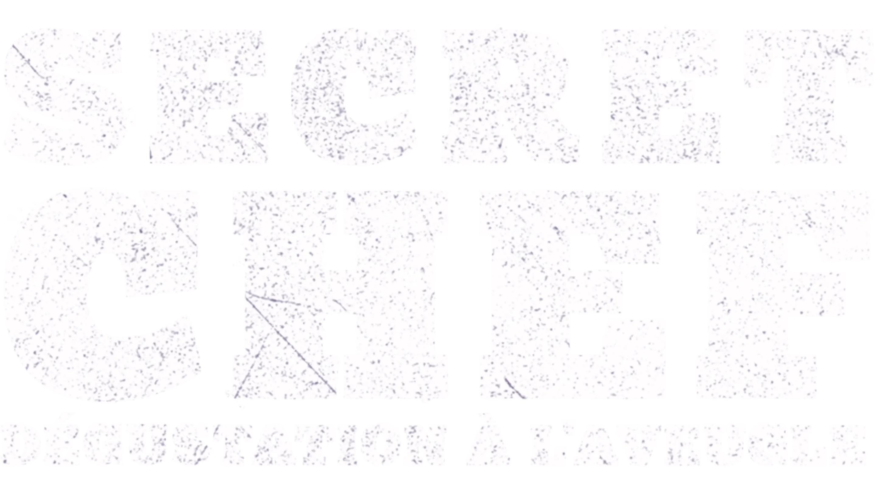 Secret Chef : dégustation à l'aveugle