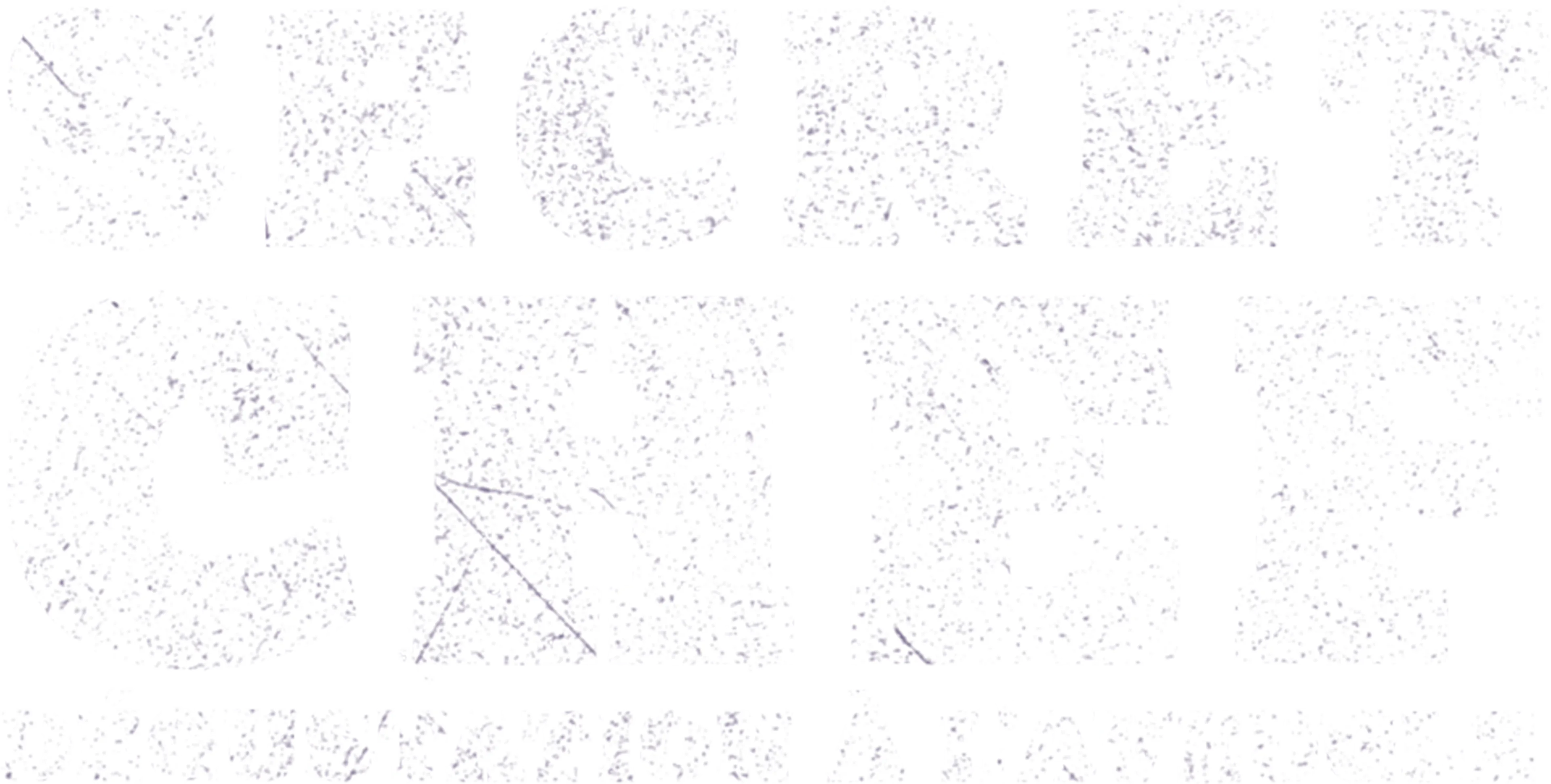 Secret Chef : dégustation à l'aveugle