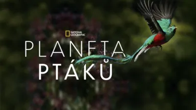 thumbnail - Planeta ptáků