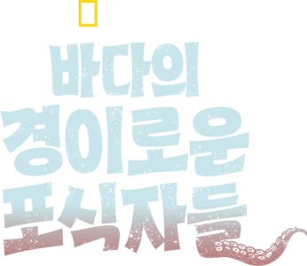 바다의 경이로운 포식자들