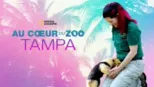 thumbnail - Au cœur du zoo : Tampa