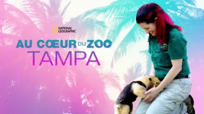 Au cœur du zoo : Tampa