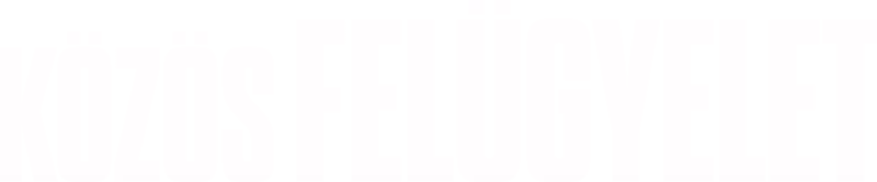 Közös felügyelet