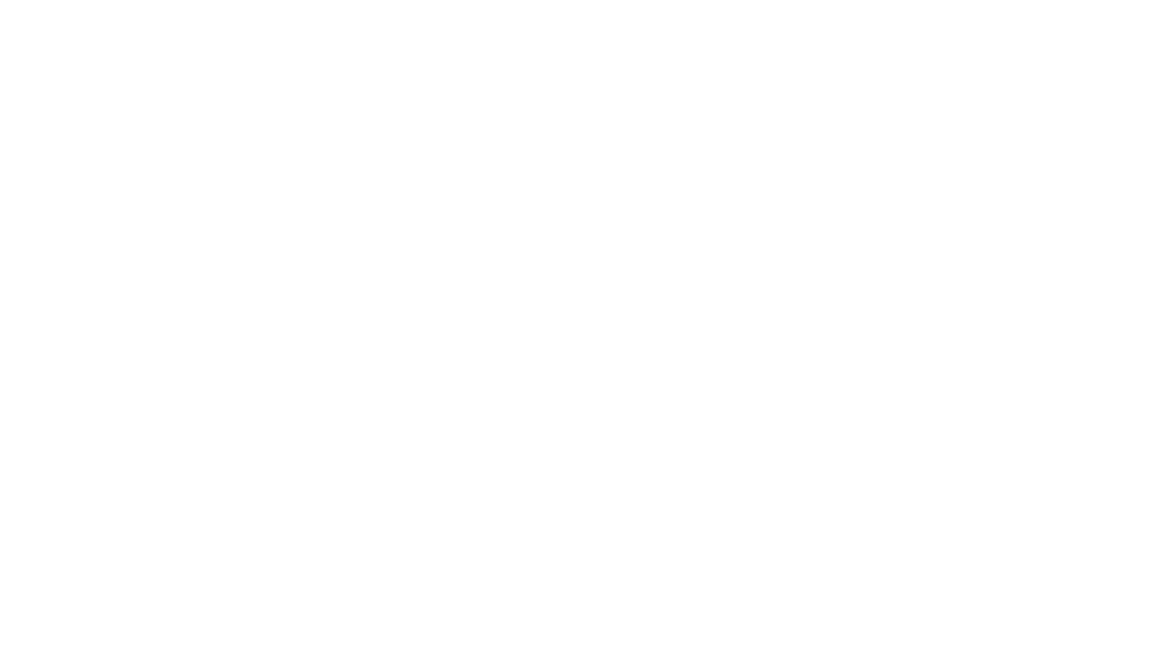 El vengador sin piedad