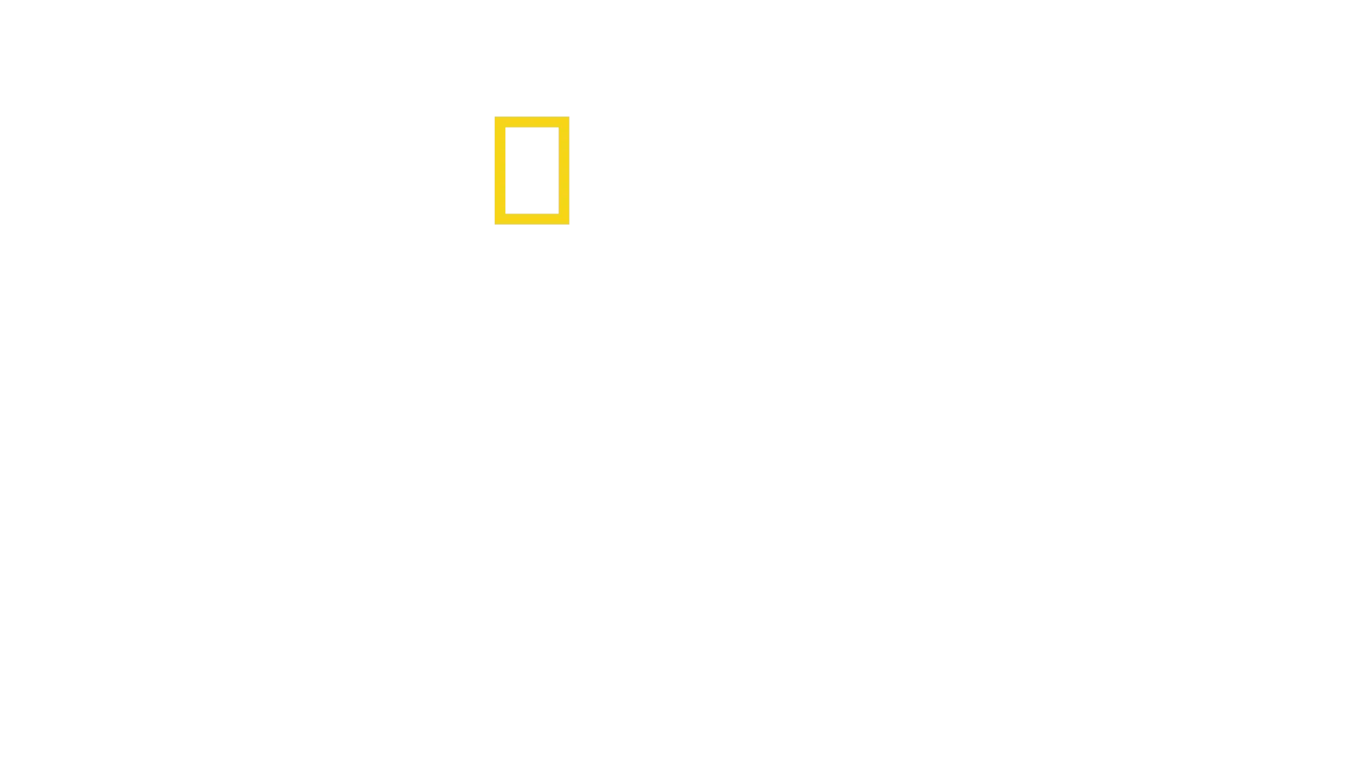 海洋保衛者雅克庫斯托