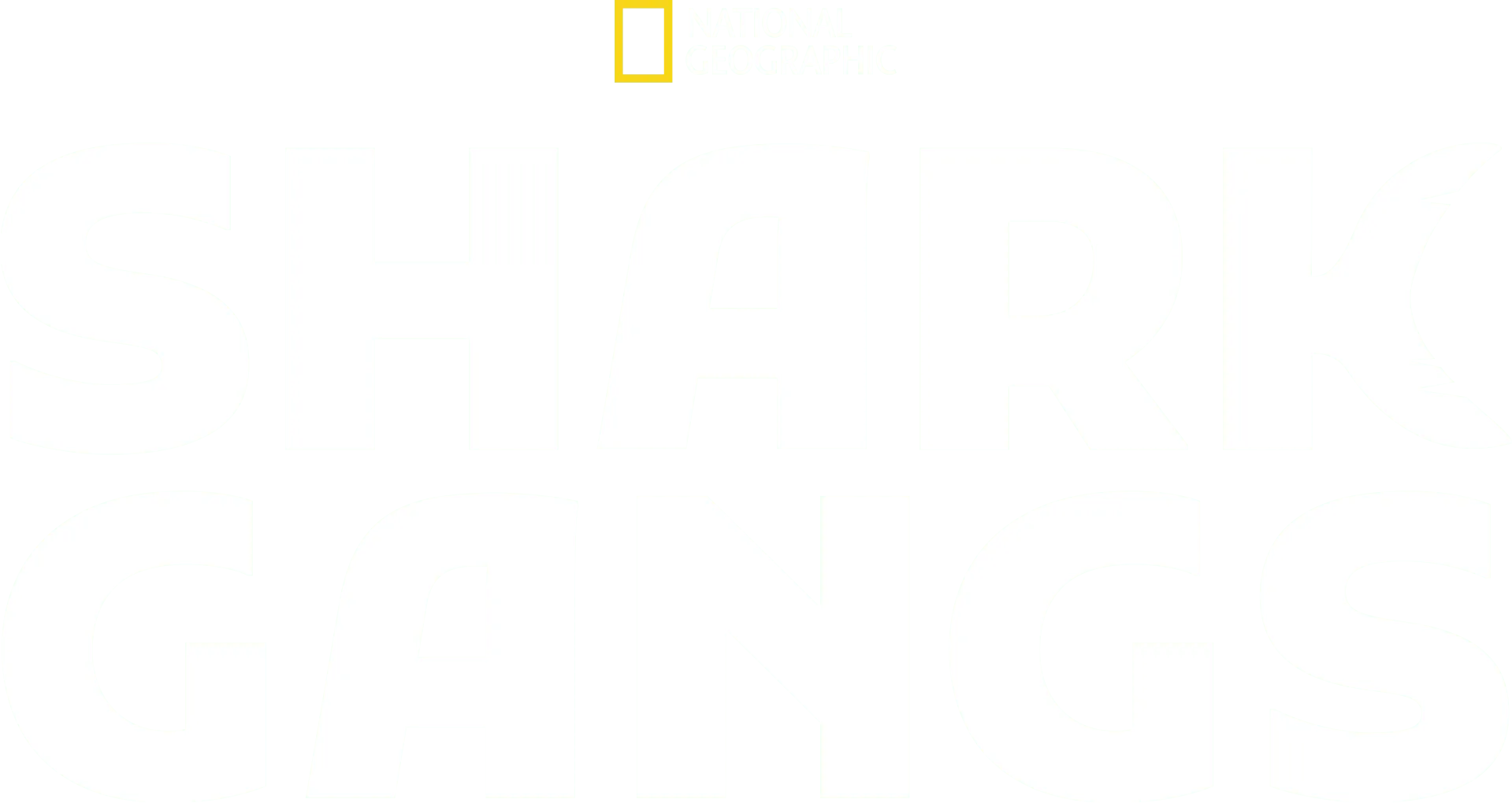 Shark Gangs