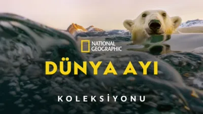 thumbnail - Dünya Ayı