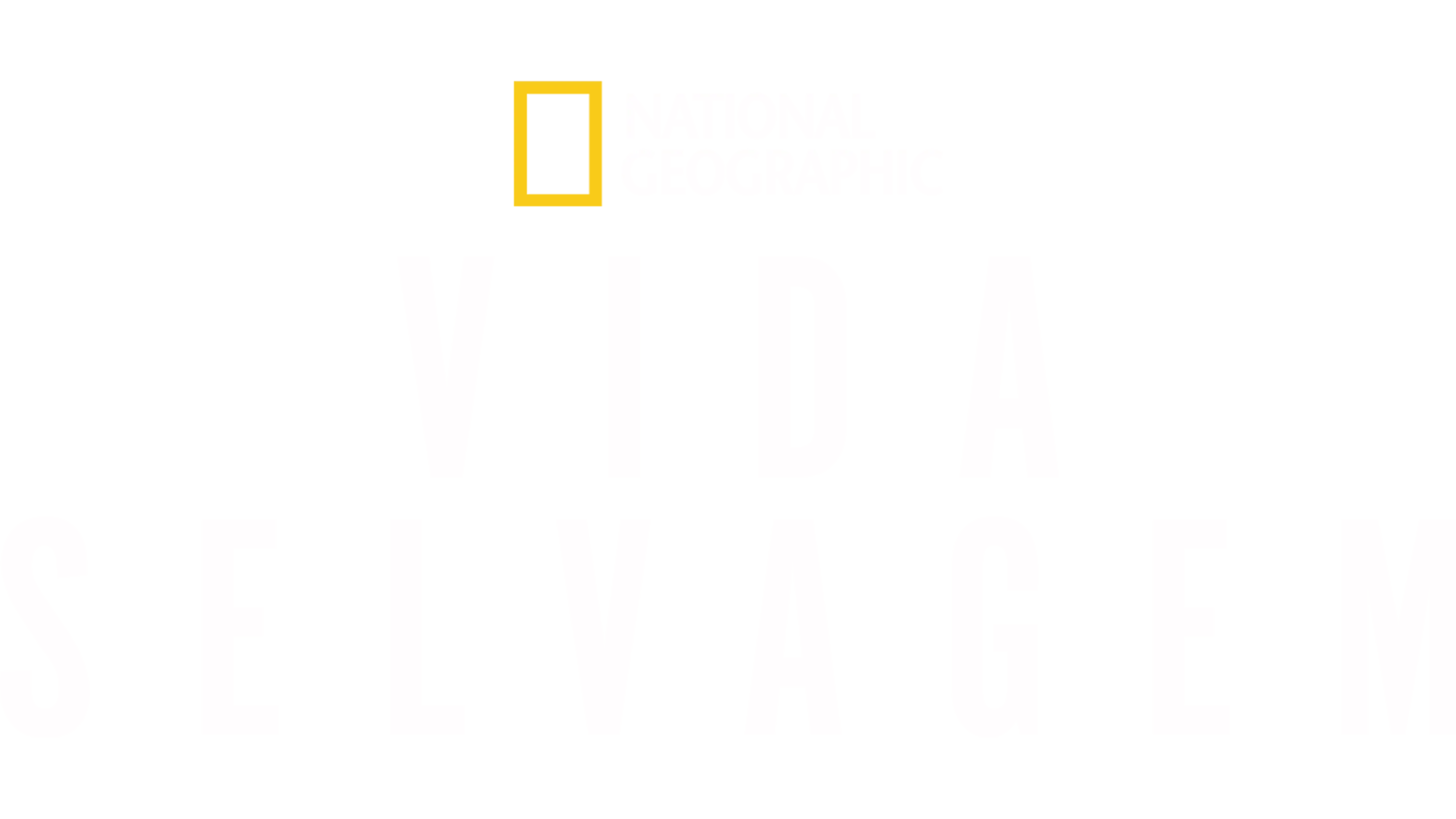 Vida Selvagem