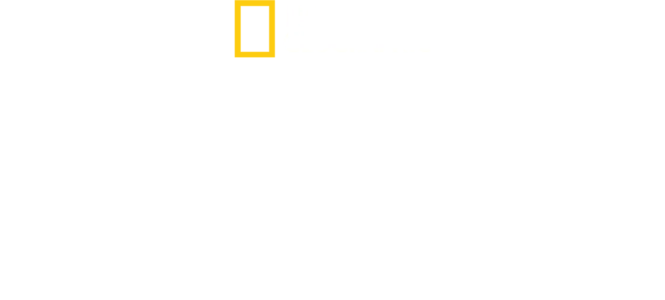Vida Selvagem
