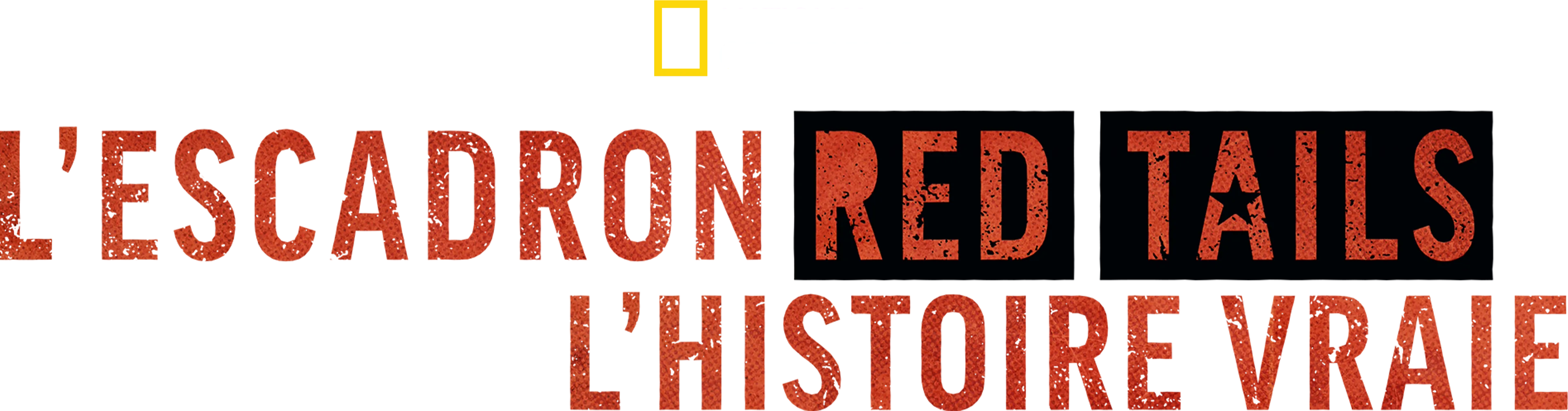 L’Escadron Red Tails : l’histoire vraie