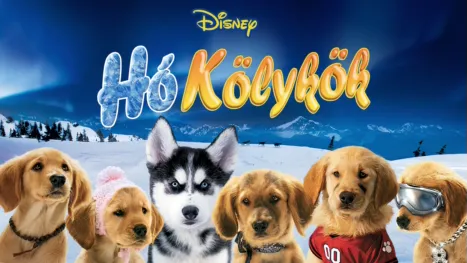 thumbnail - Hókölykök