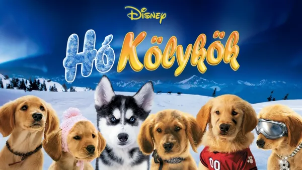 thumbnail - Hókölykök