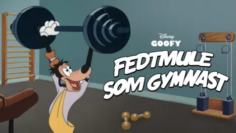 thumbnail - Fedtmule som gymnast