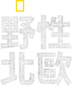 野性北歐