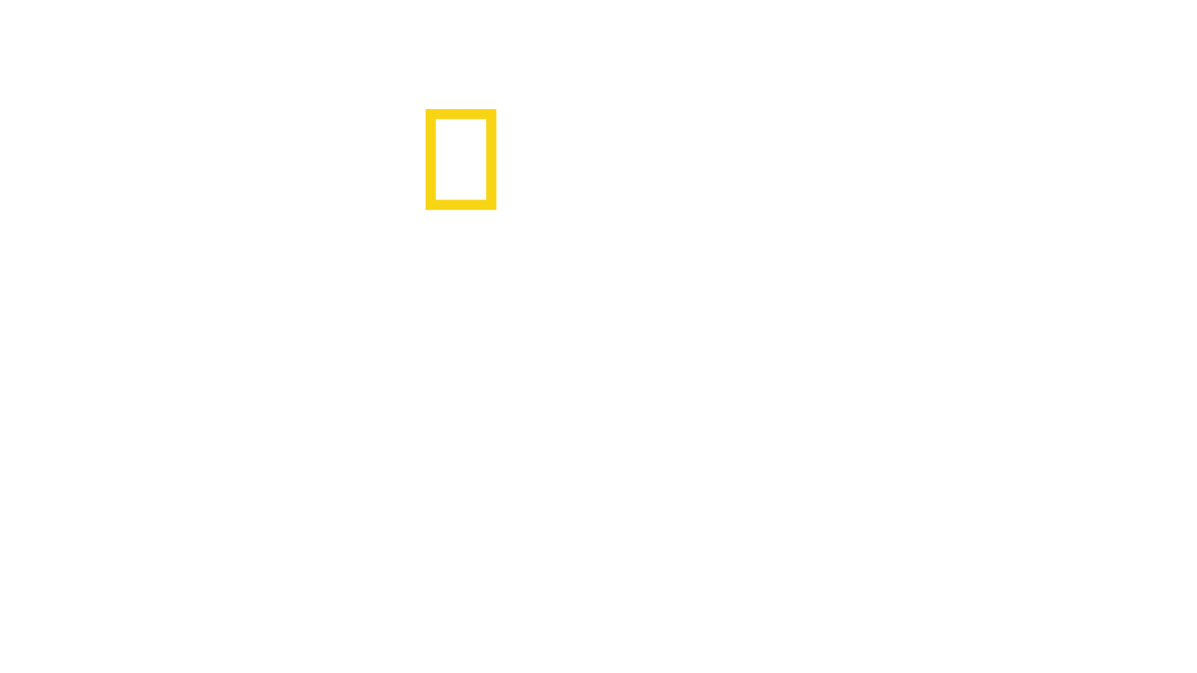 月之鯊途