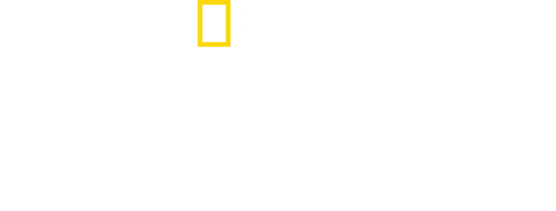 月之鯊途