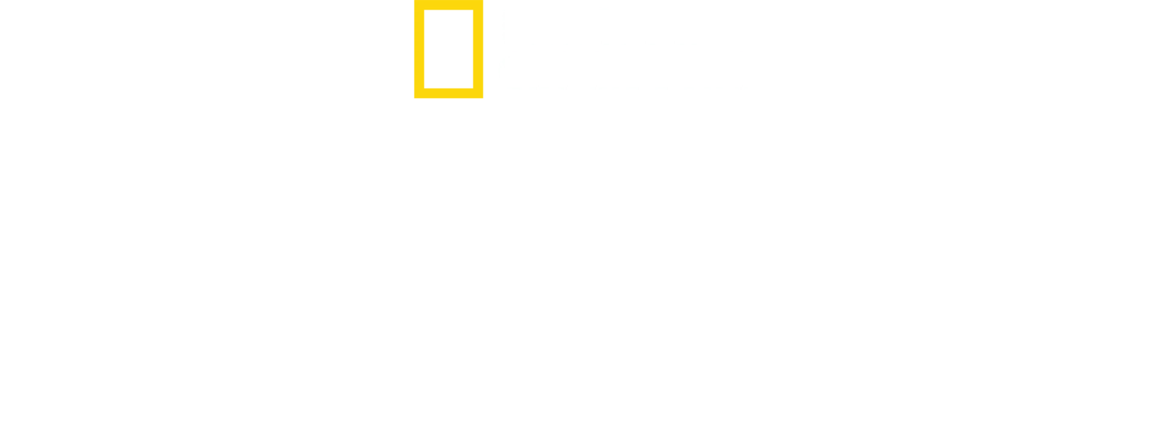 月之鯊途