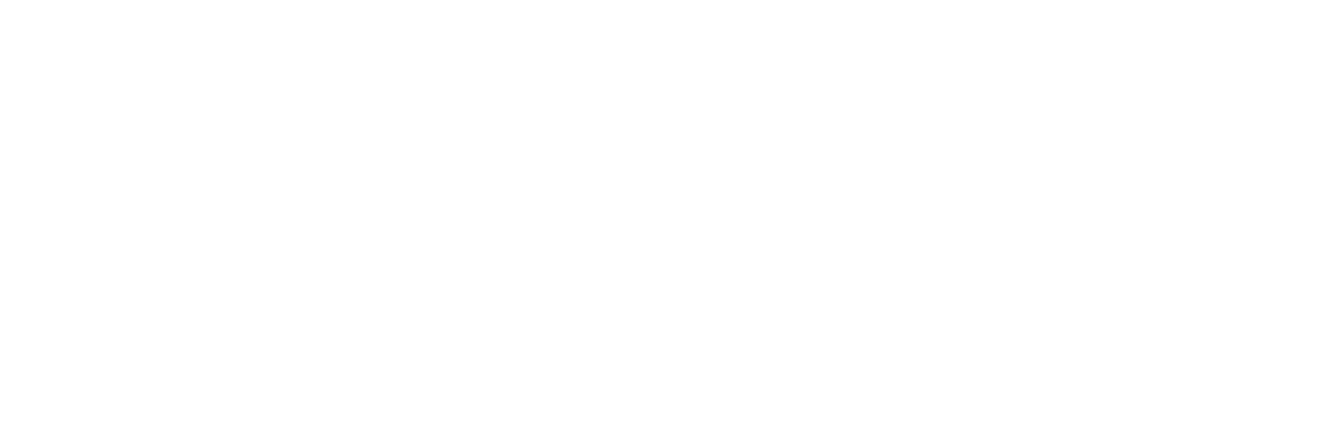 Spy: Una Espía Despistada