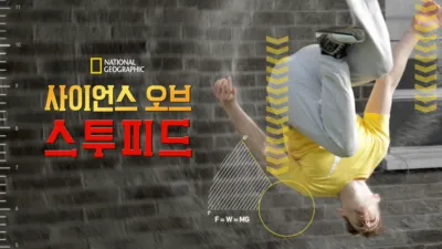 사이언스 오브 스투피드