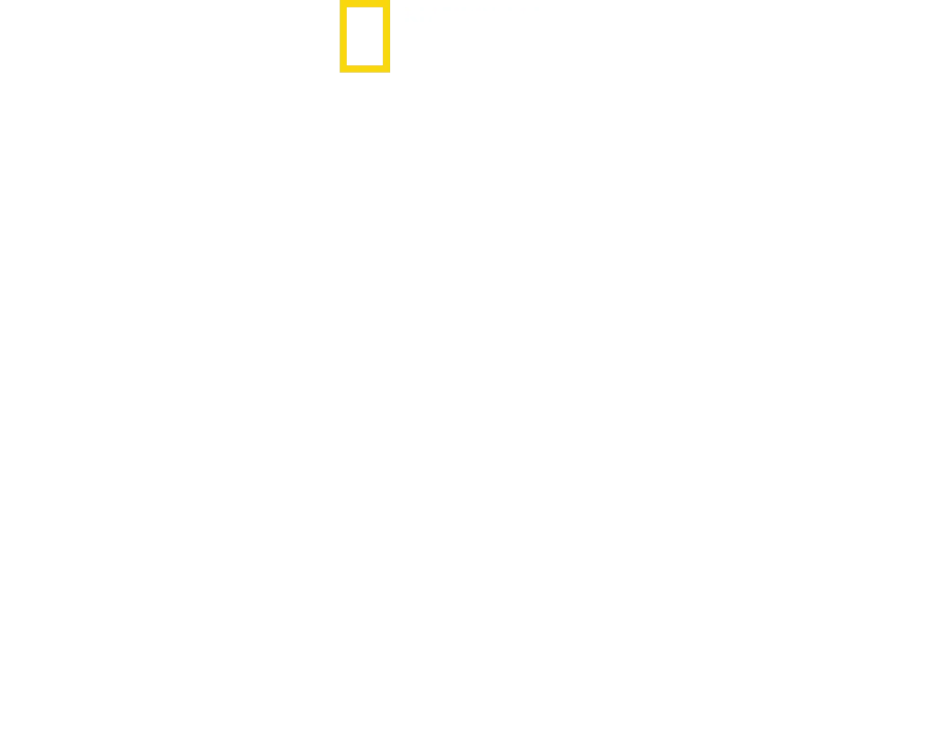 Hitler's Death Squad