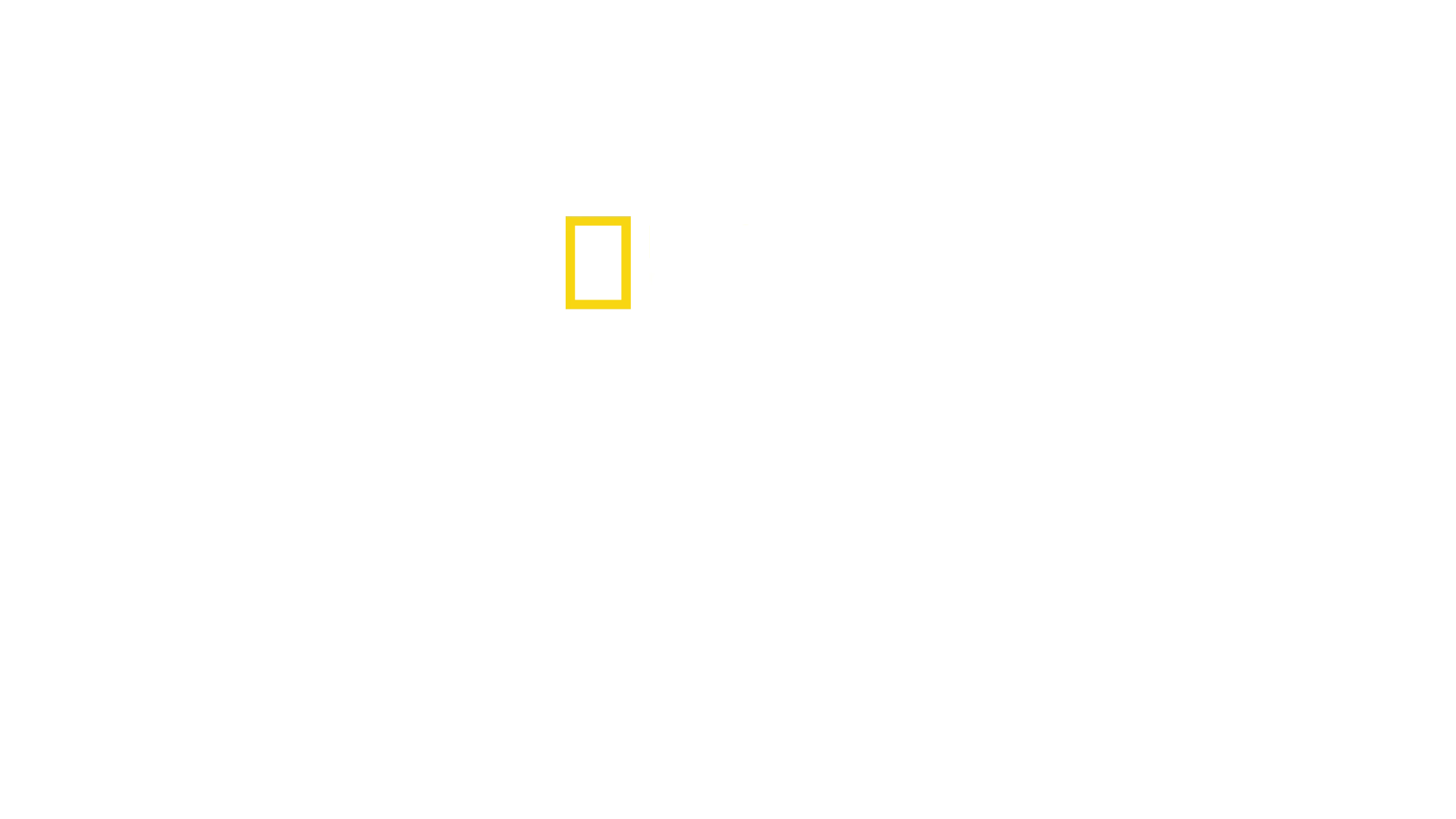 Trafficked: Schwarzmärkte mit Mariana van Zeller