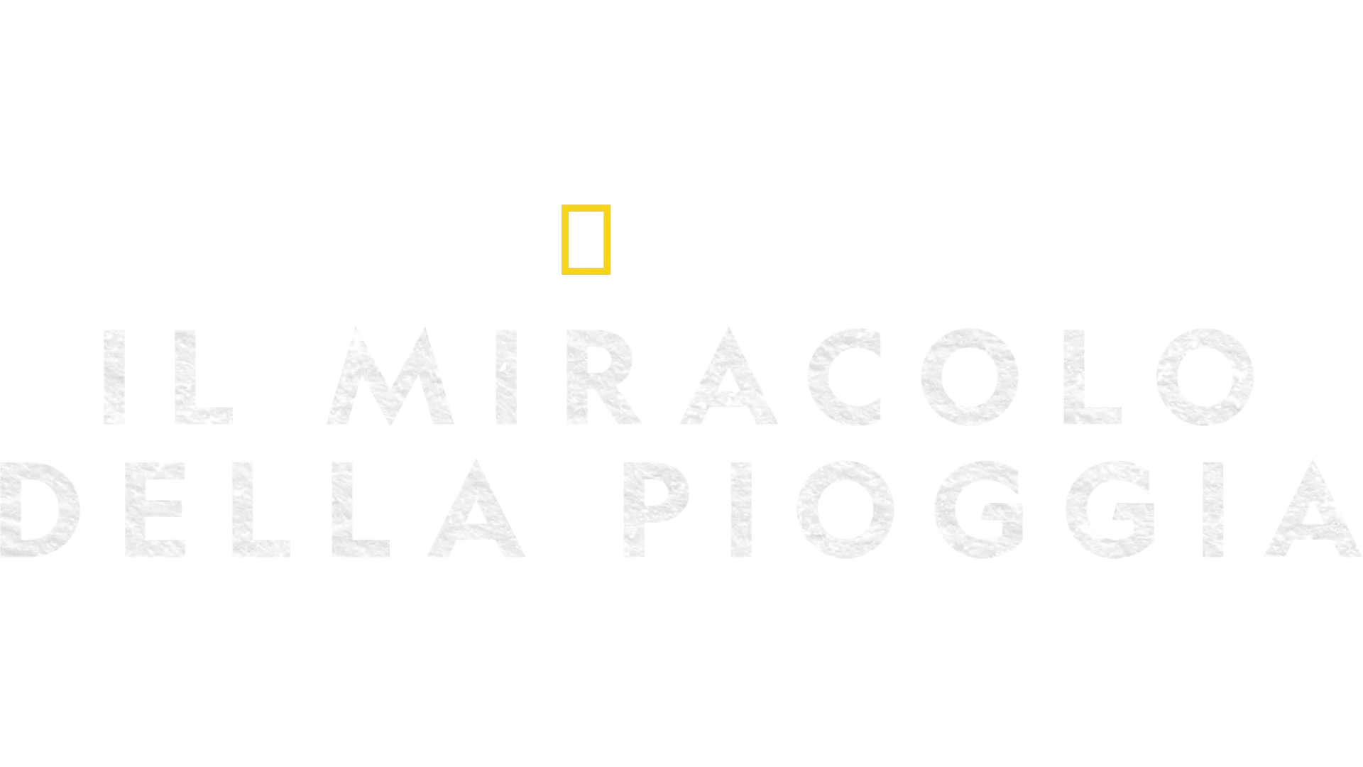 Il Miracolo della Pioggia