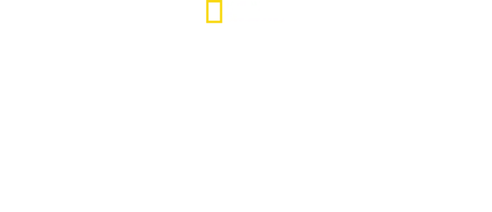 Maailman kuolettavimmat käärmeet
