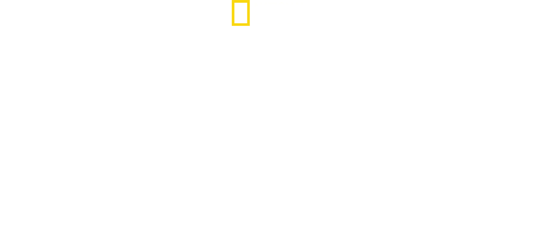 Maailman kuolettavimmat käärmeet