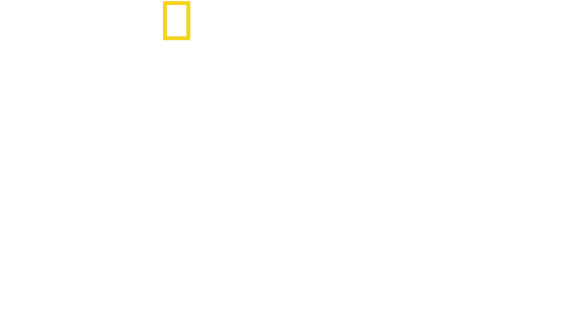 자라나는 동물들