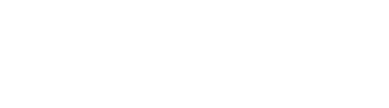 Loin de la Maison: L'Extraordinaire Aventure d'Angus et son Labrador